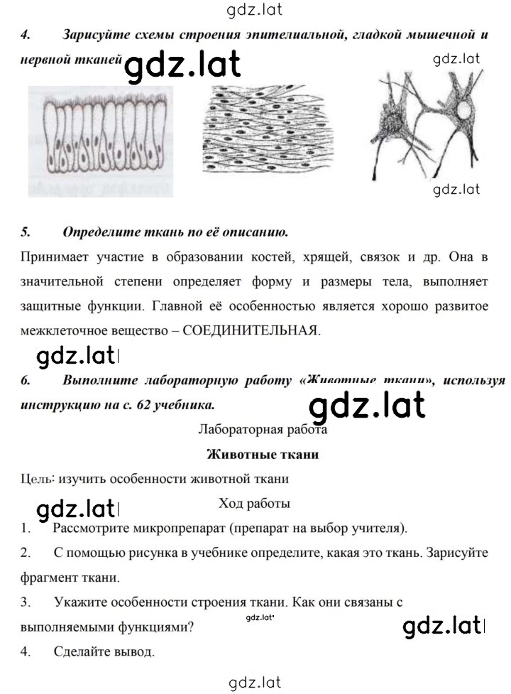 Решение задания № 41 — страница 2