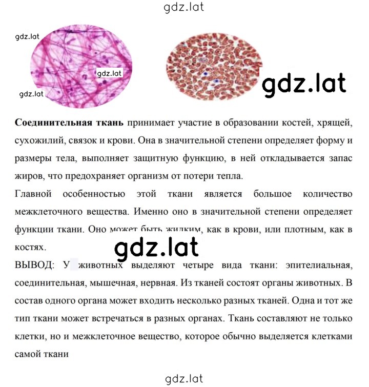 Решение задания № 41 — страница 3
