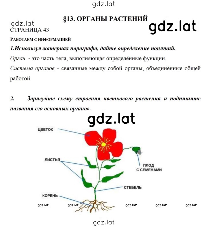 Решение задания № 43 — страница 1