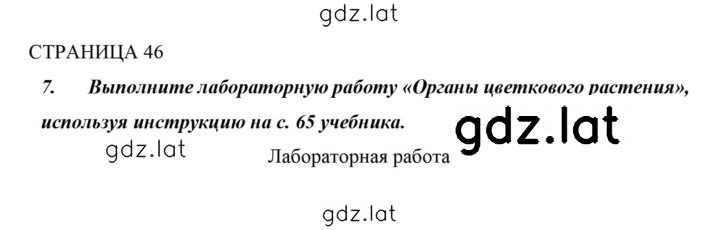 Решение задания № 46 — страница 1