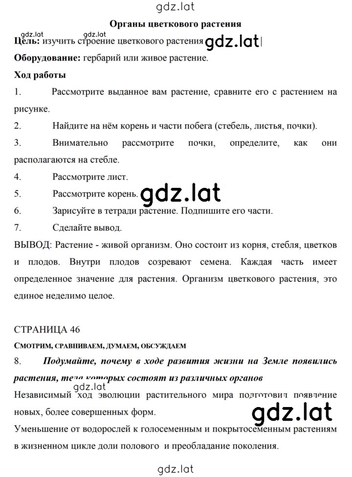 Решение задания № 46 — страница 2