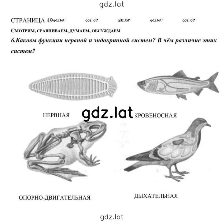 Решение задания № 49 — страница 1