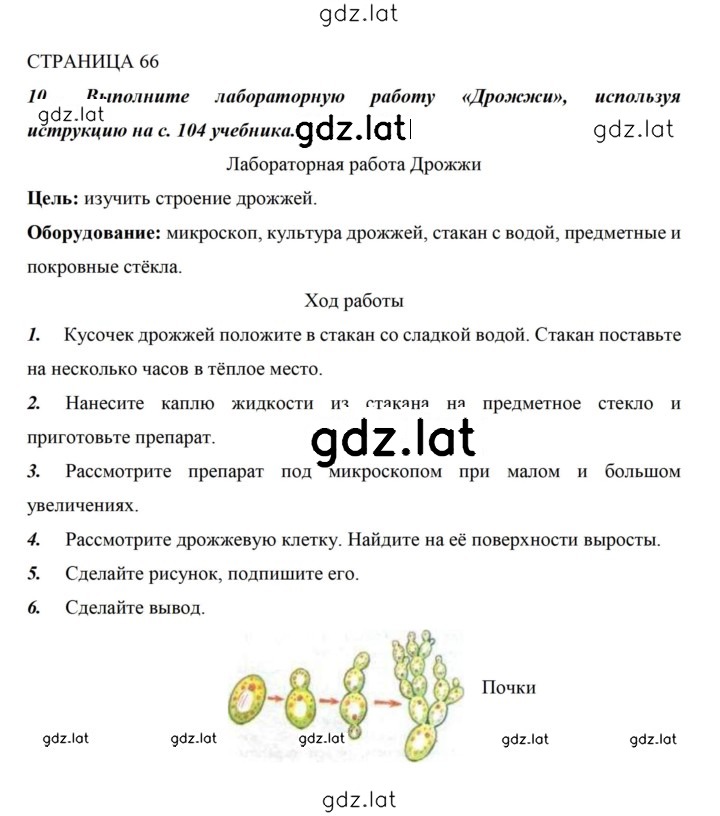 Решение задания № 66 — страница 1