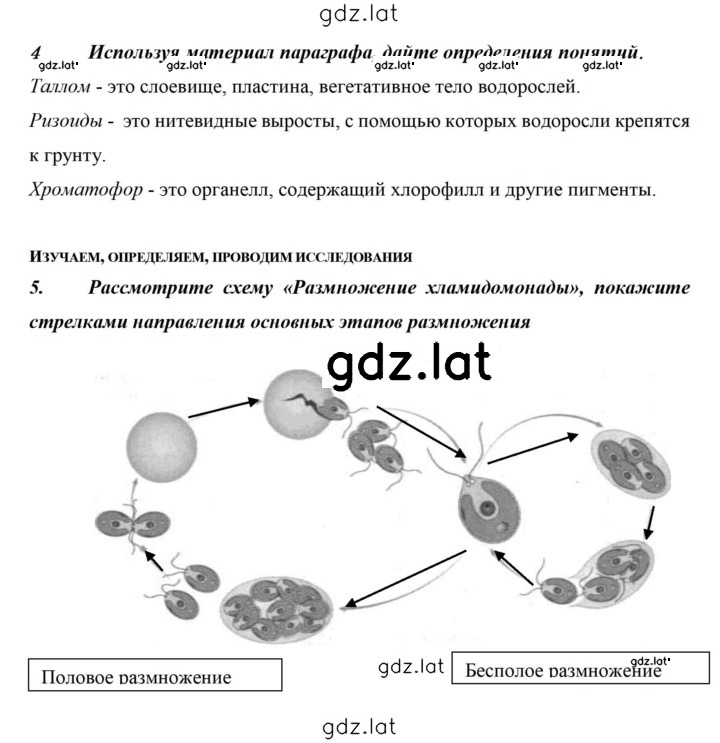 Решение задания № 70 — страница 2