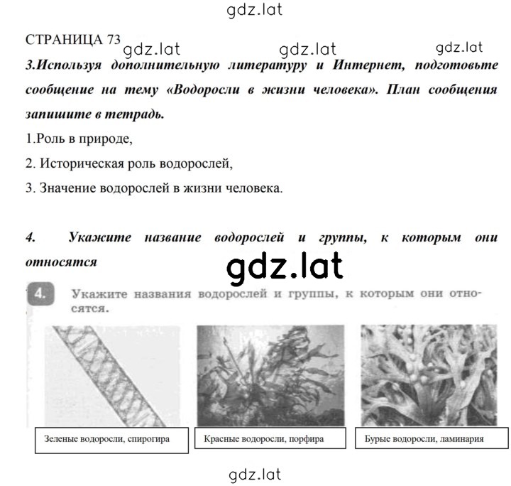 Решение задания № 73 — страница 1