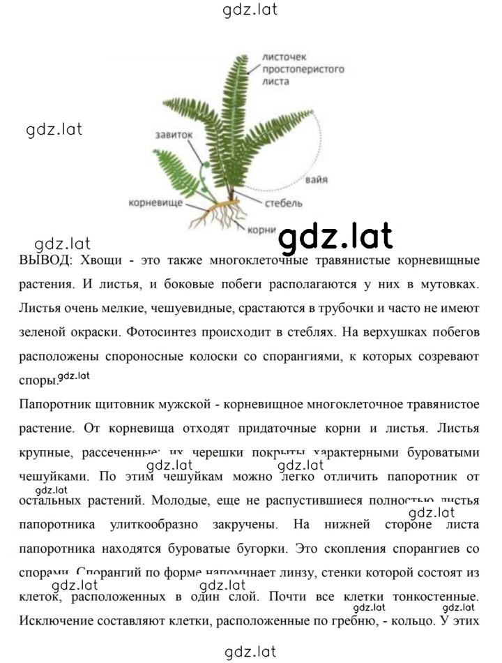 Решение задания № 80 — страница 3