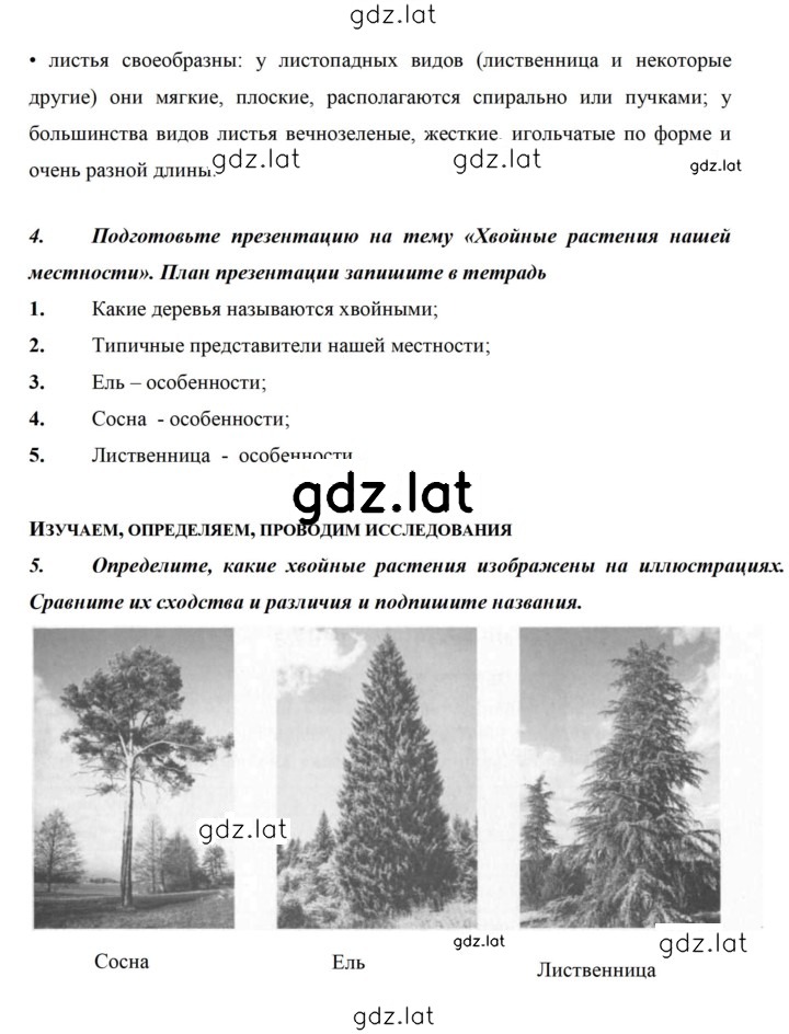 Решение задания № 82 — страница 3