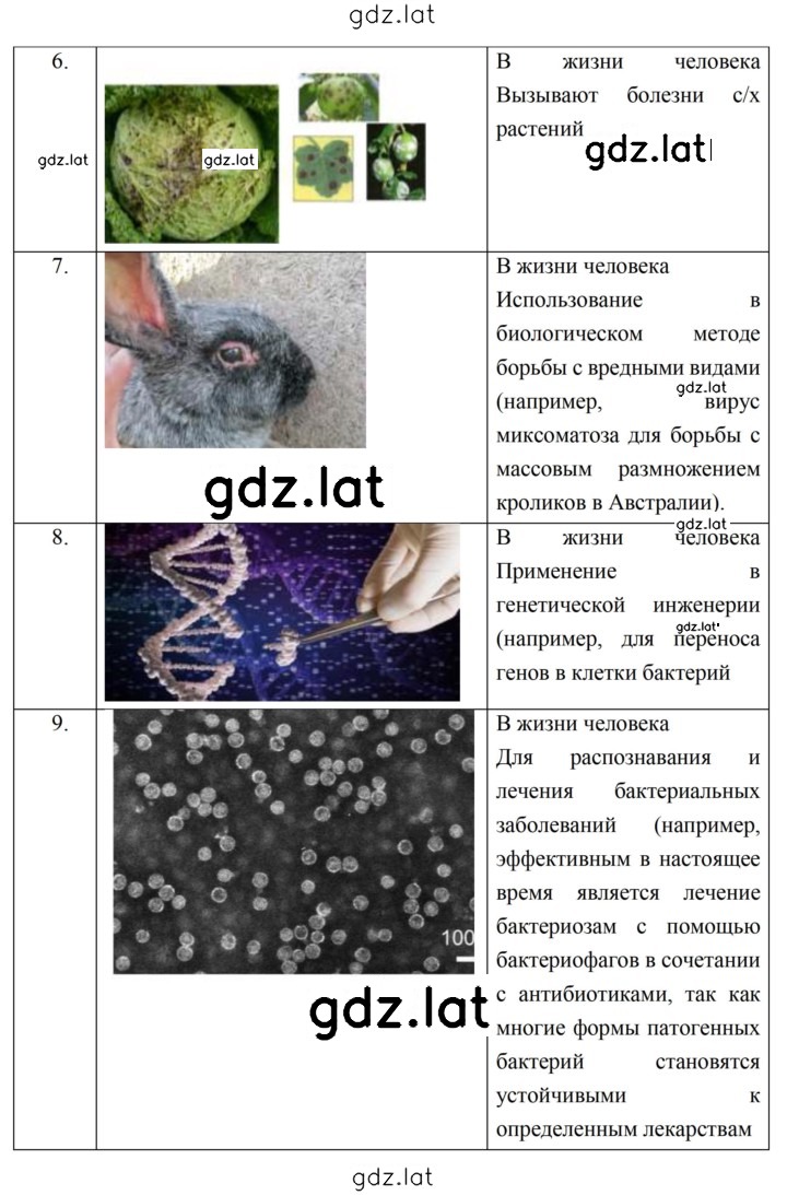 Решение задания № 68 — страница 4
