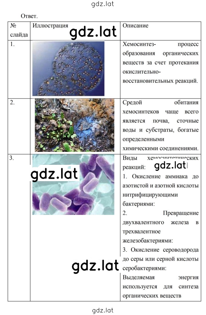 Решение задания № 78 — страница 4