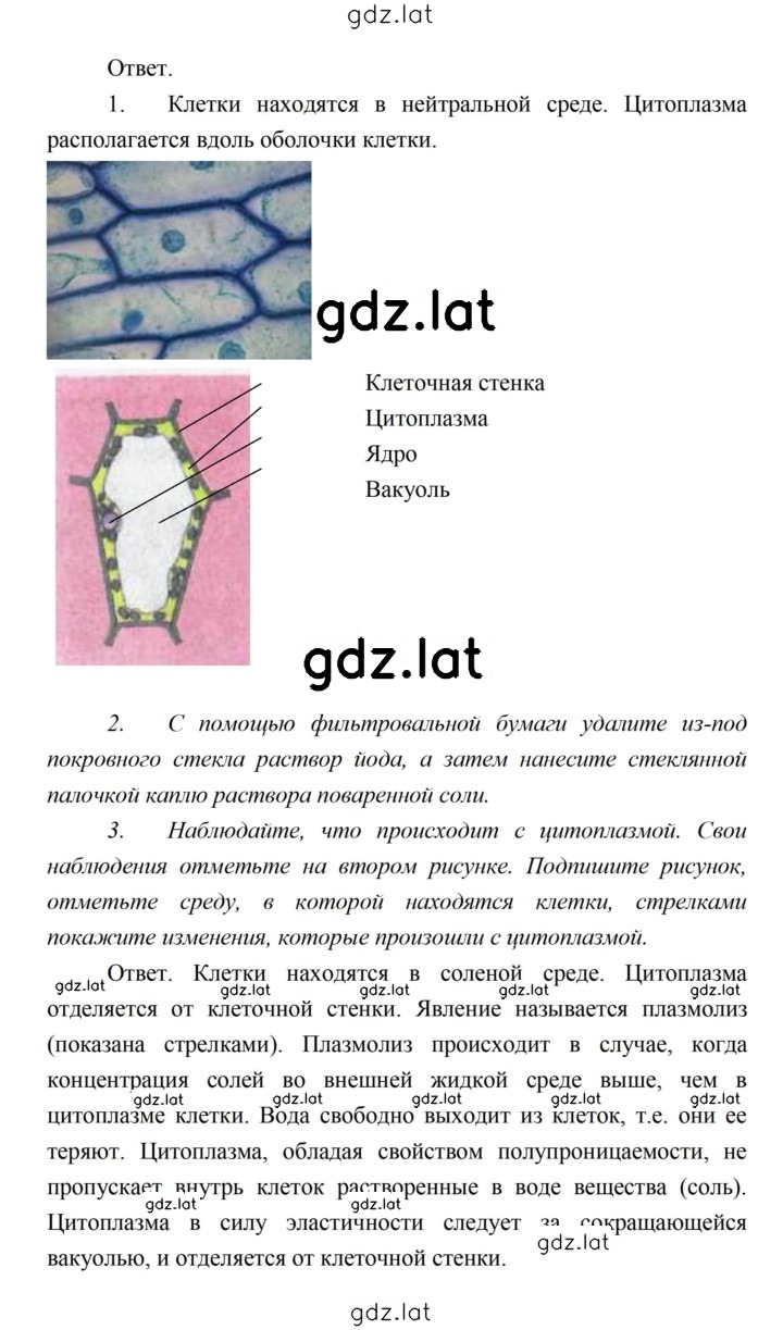 Решение задания № 23 — страница 2