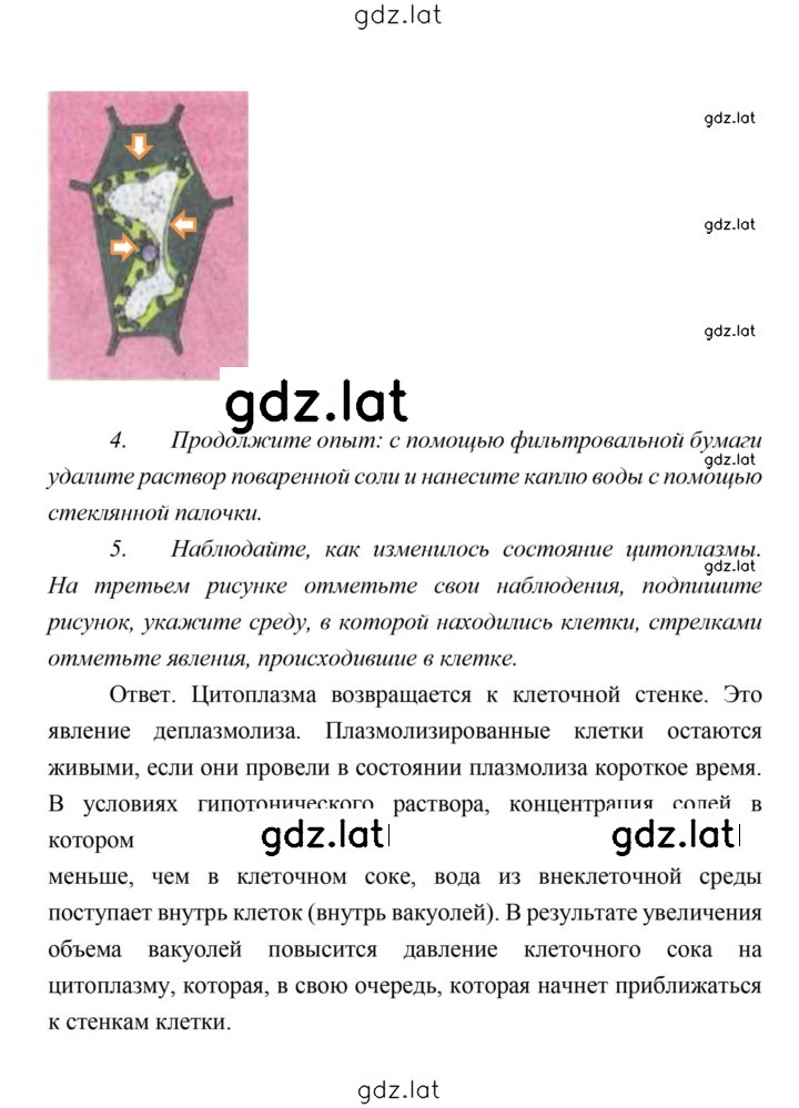 Решение задания № 23 — страница 3