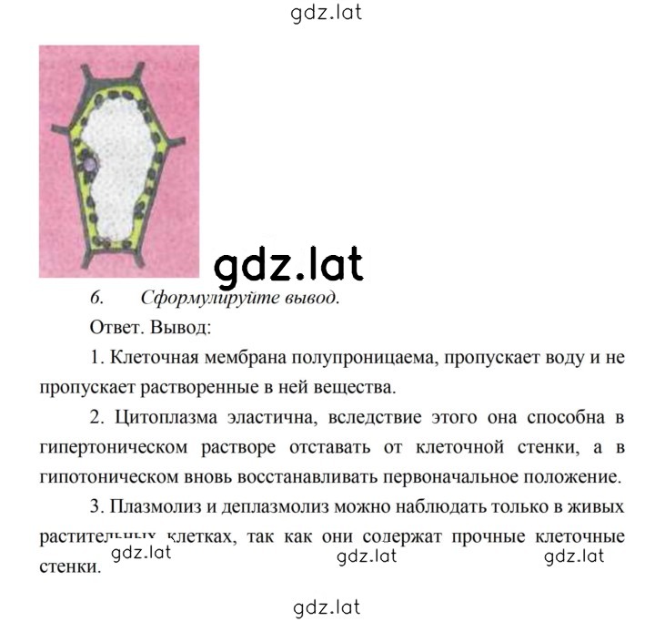 Решение задания № 23 — страница 4