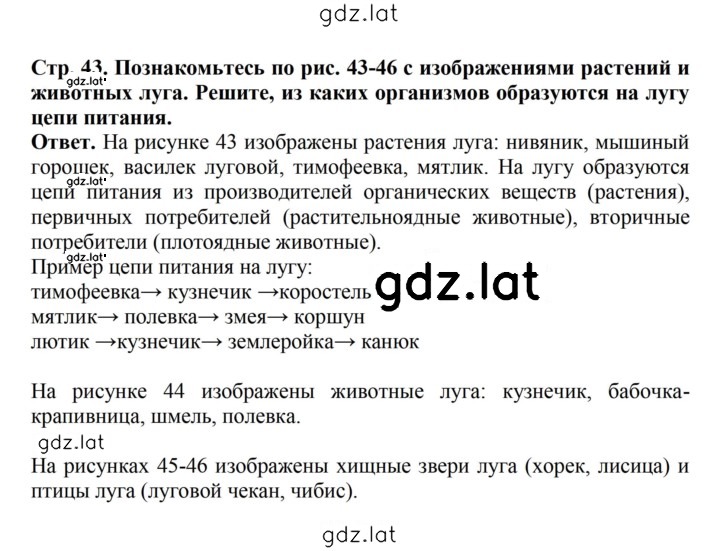 Решение задания № 43 — страница 1