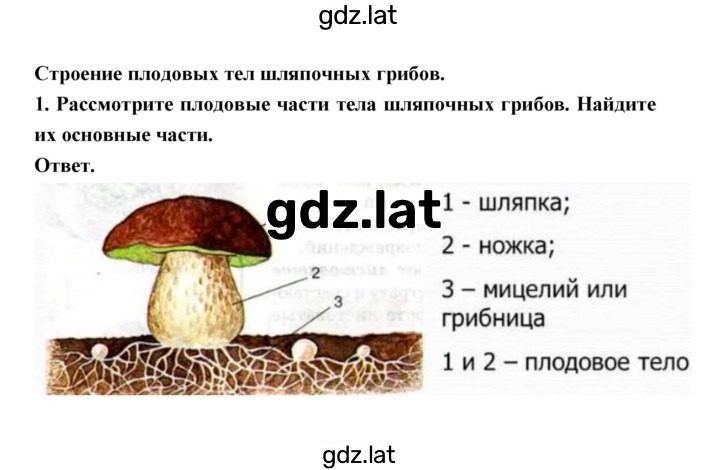 Решение задания № 2 — страница 1