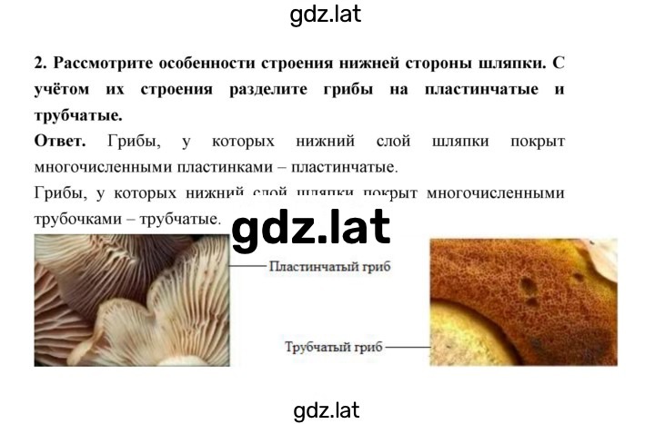 Решение задания № 2 — страница 2