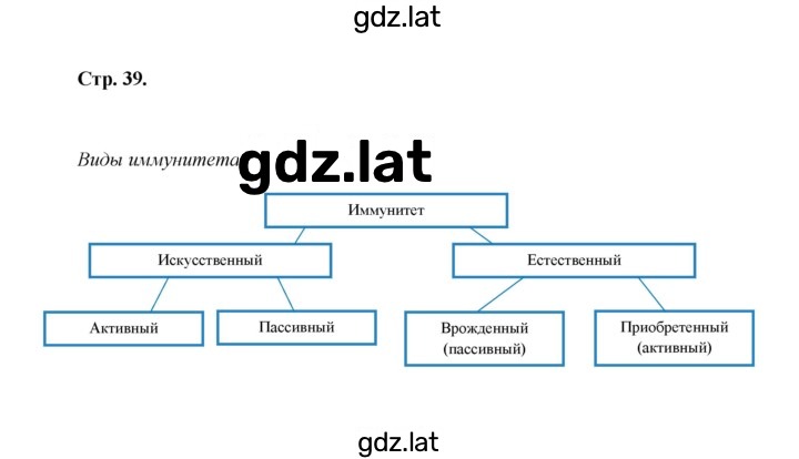 Решение задания № 39 — страница 3