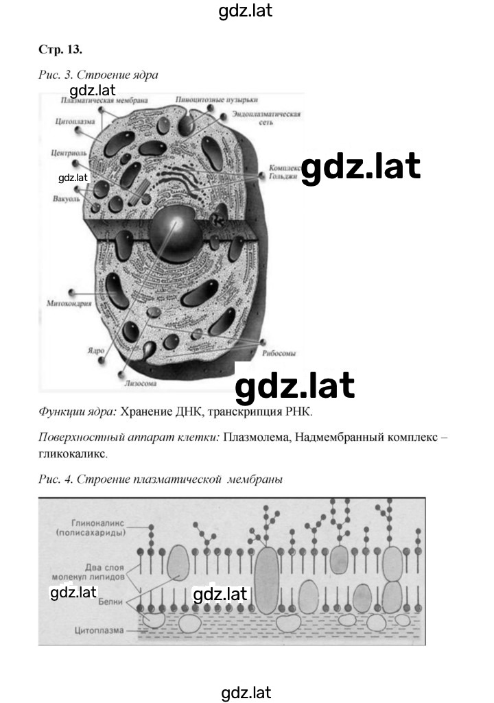 Решение задания № 13 — страница 1