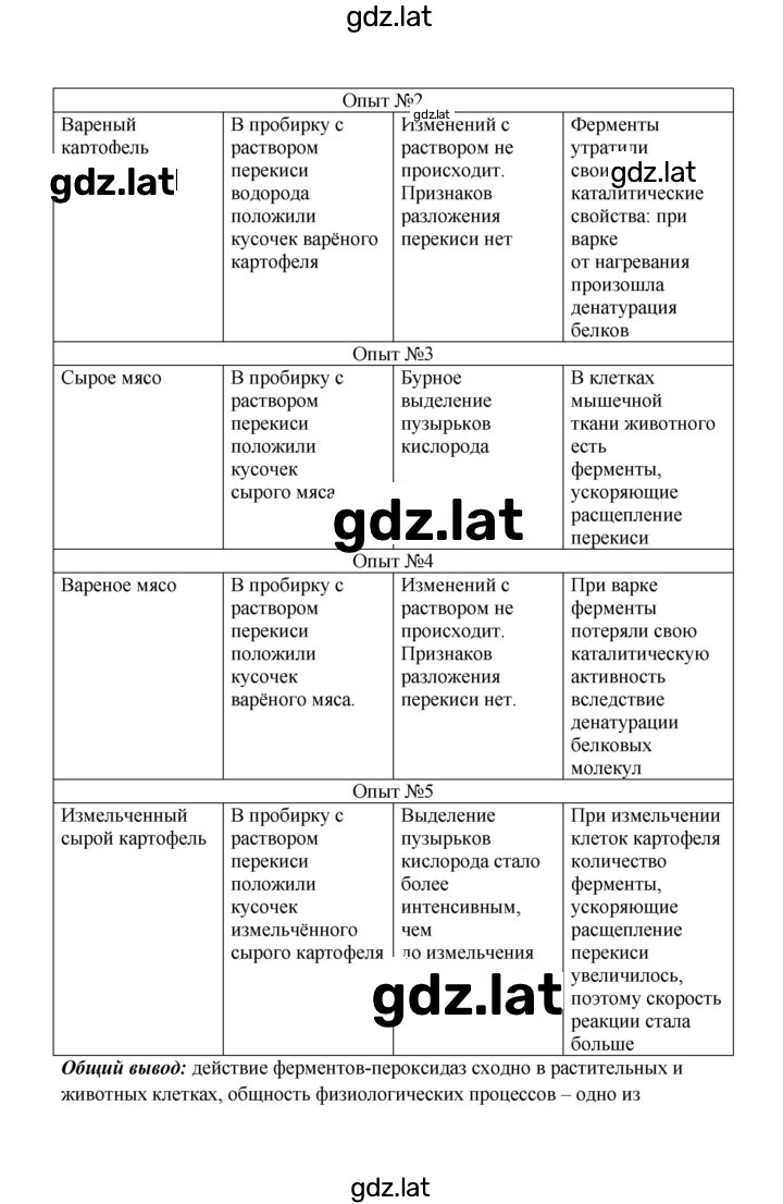 Решение задания № 19 — страница 2