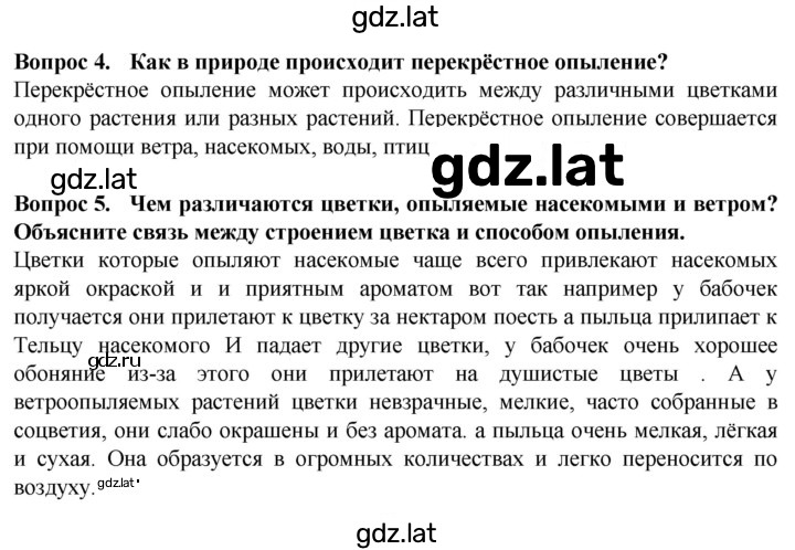 Решение задания № 24 — страница 1