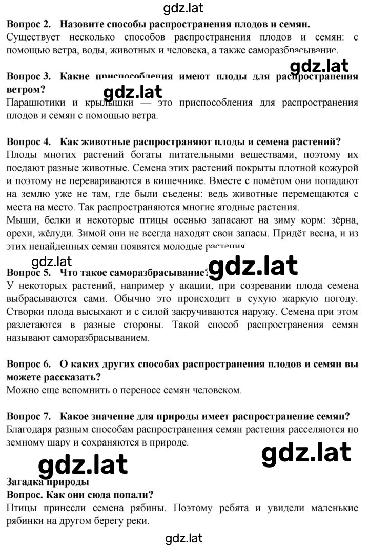 Решение задания № 31 — страница 1
