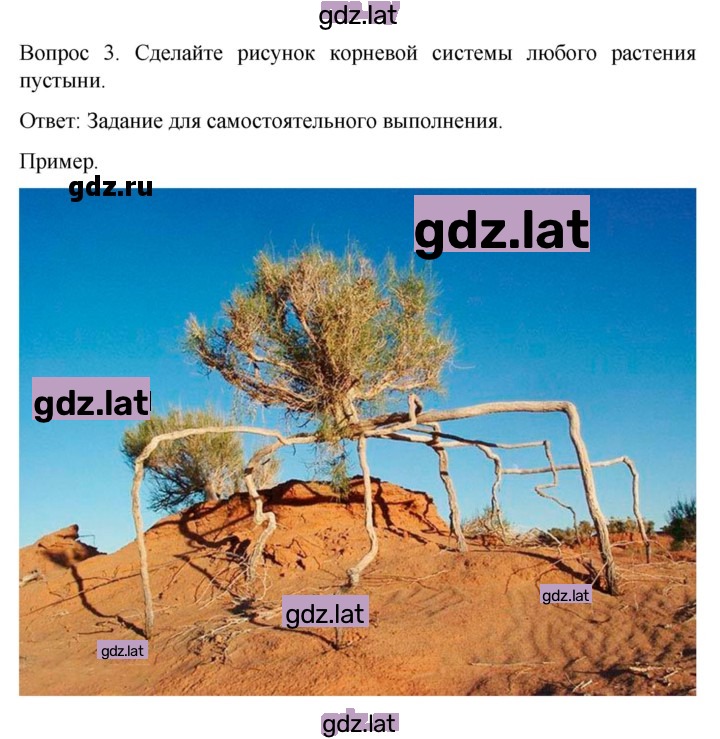 Решение задания № 137 — страница 2