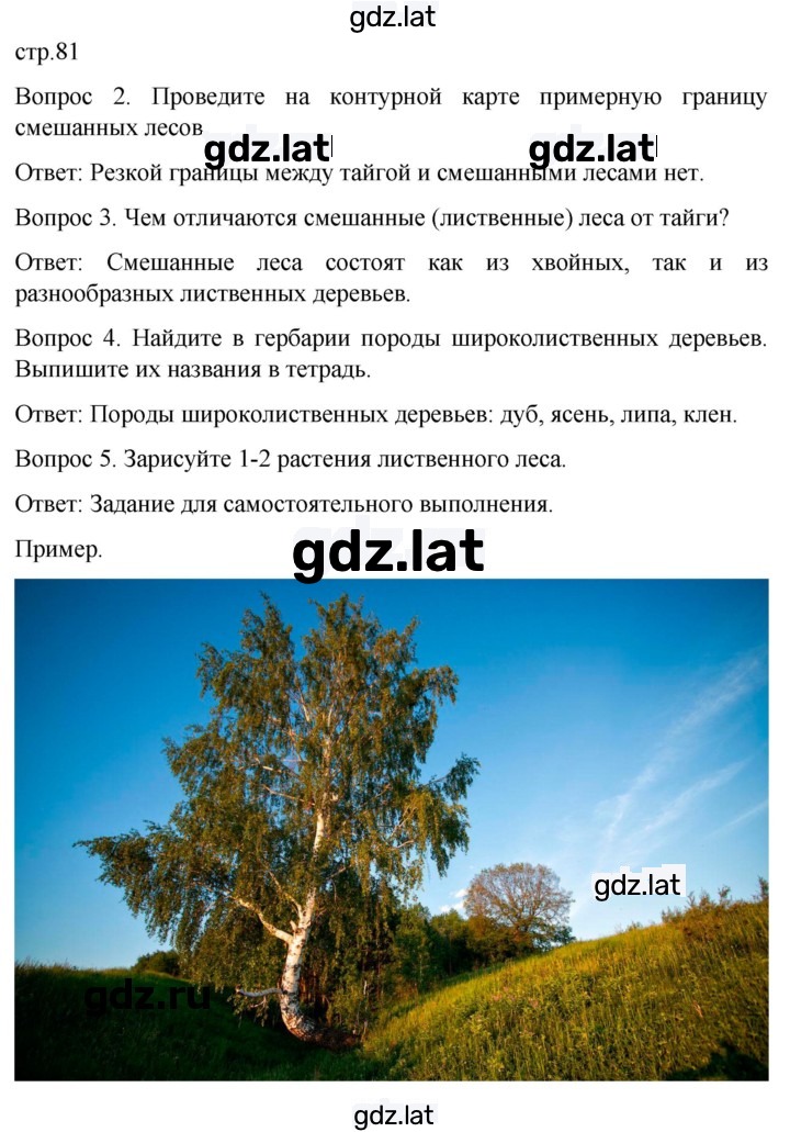 Решение задания № 81 — страница 1