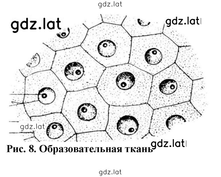 Решение задания № 12 — страница 1