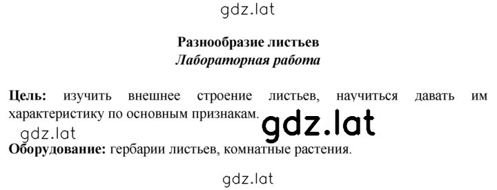 Решение задания № 24 — страница 2