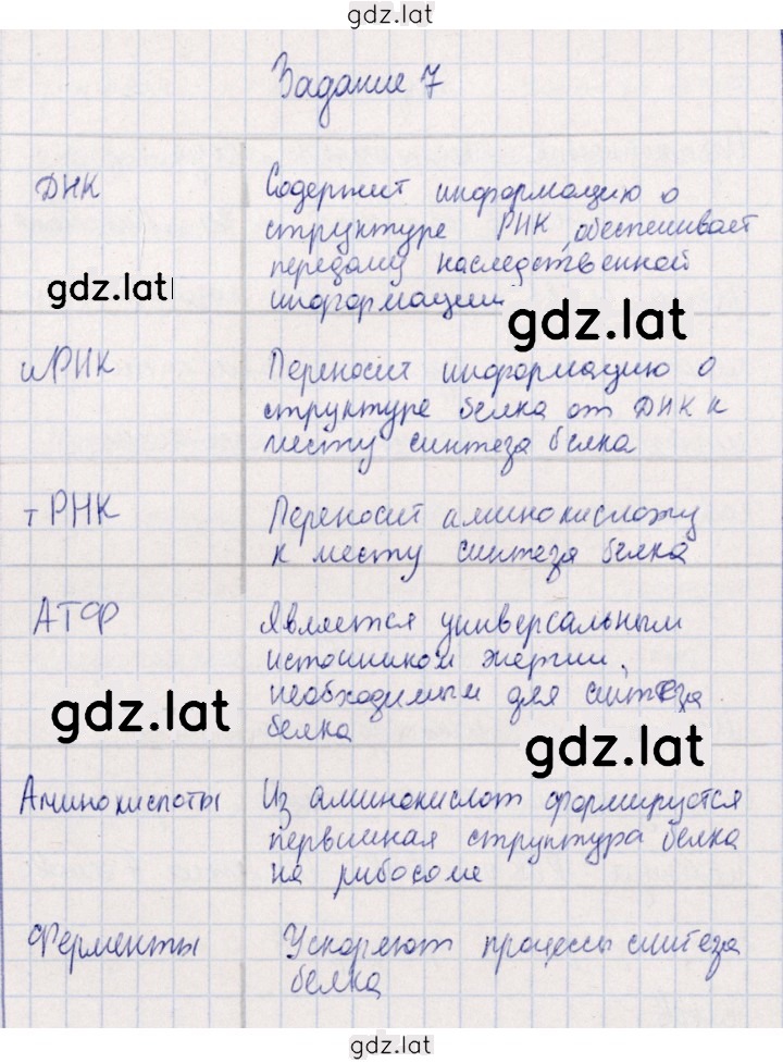 Решение задания № 7 — страница 1