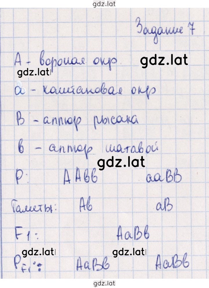 Решение задания № 7 — страница 1