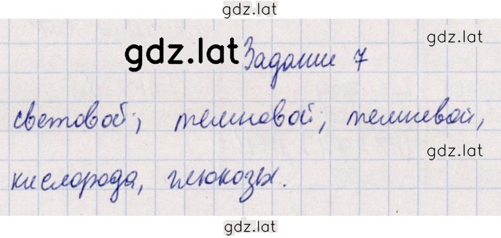 Решение задания № 7 — страница 1