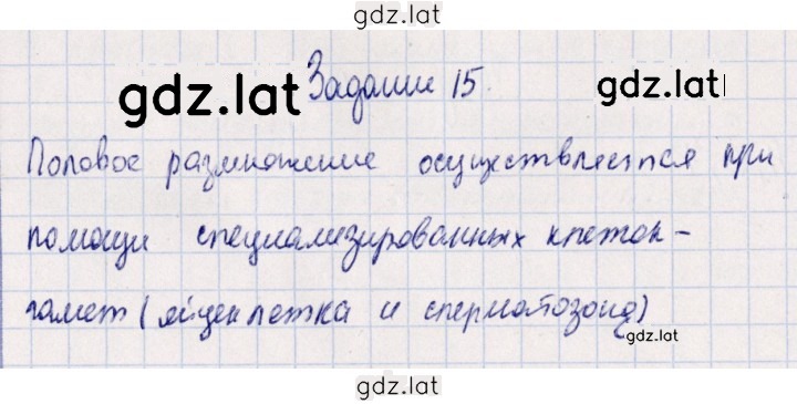 Решение задания № 15 — страница 1
