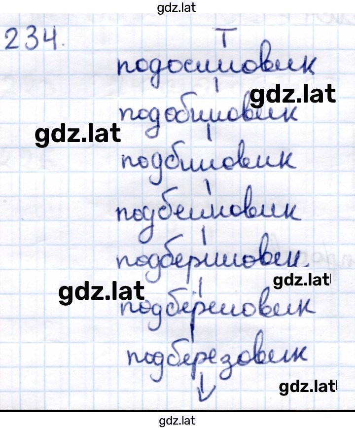 Решение задания № 234 — страница 1