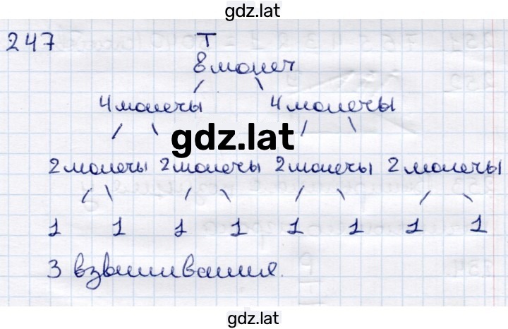 Решение задания № 247 — страница 1
