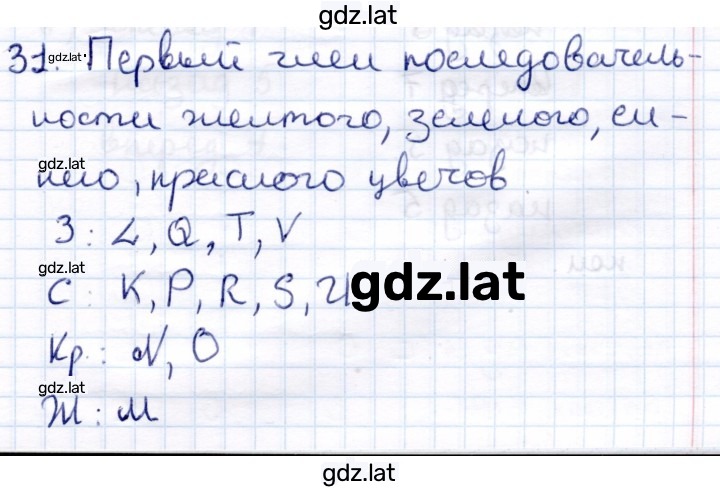 Решение задания № 31 — страница 1