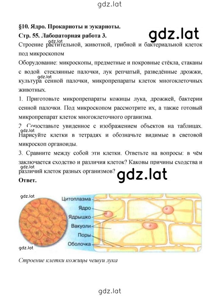 Решение задания № 55 — страница 1