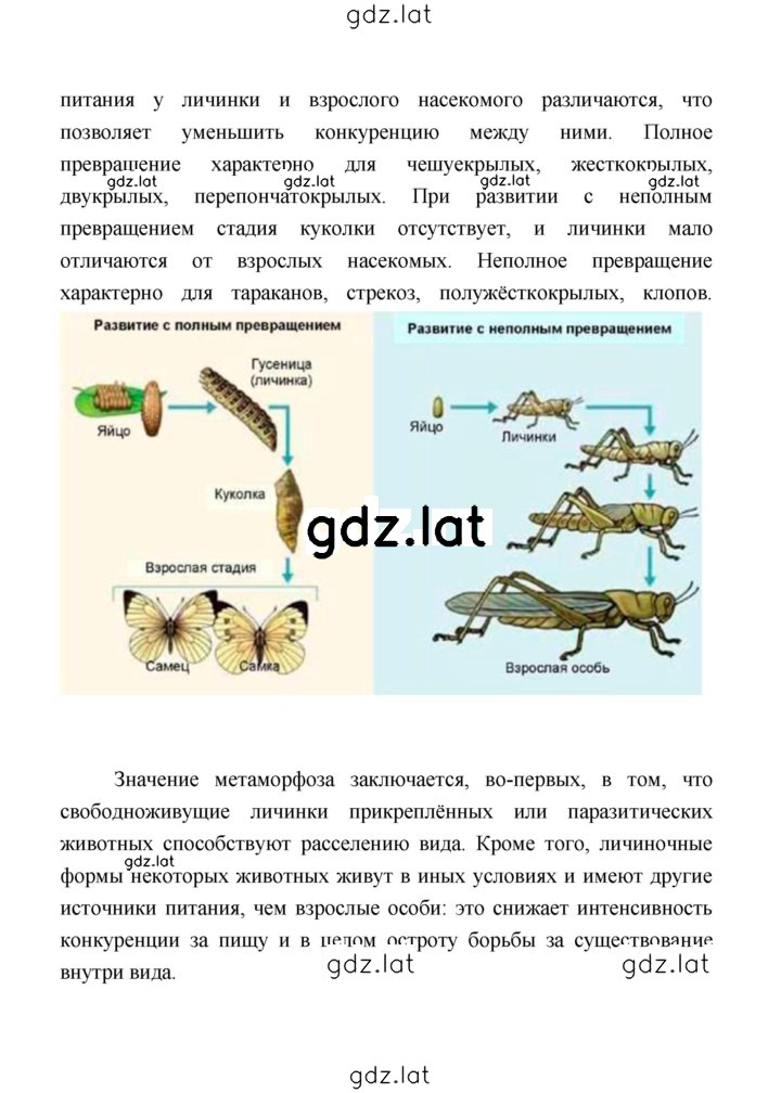 Решение задания № 128 — страница 2