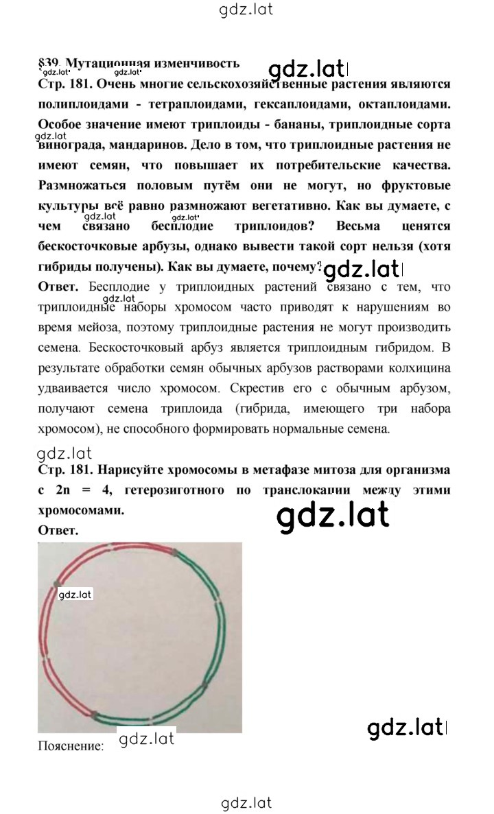 Решение задания № 181 — страница 1