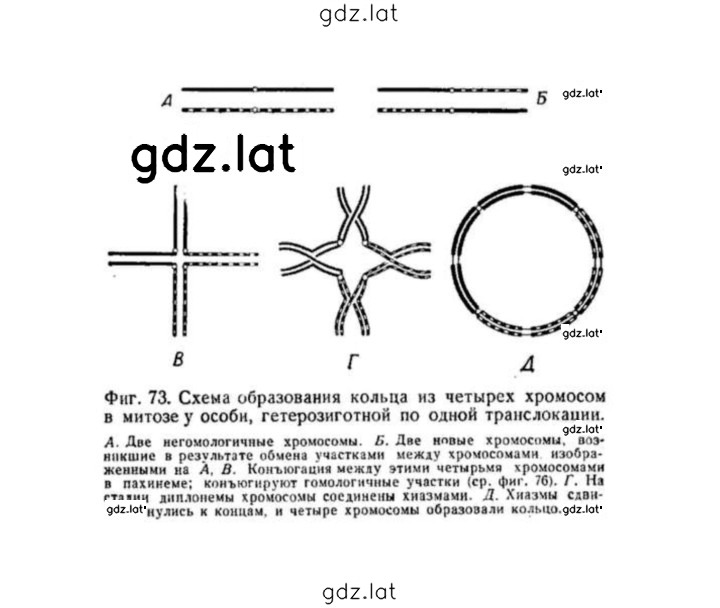 Решение задания № 181 — страница 2