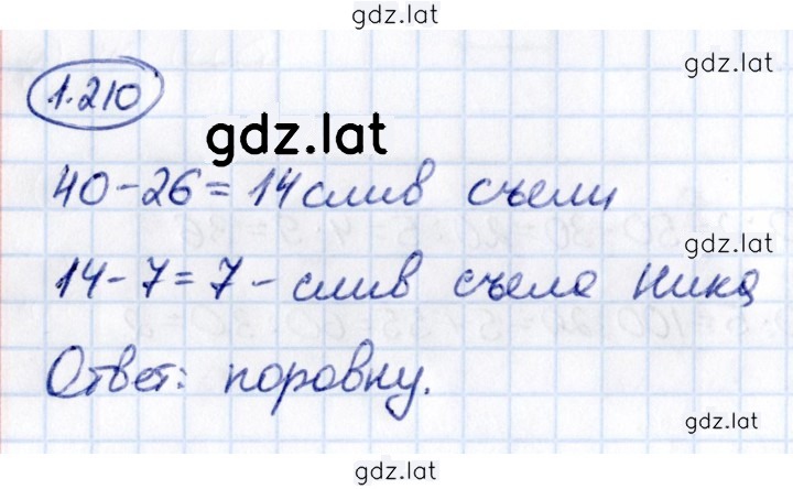 Решение задания № 1.210 — страница 1