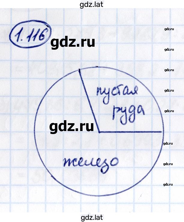 Решение задания № 1.116 — страница 1