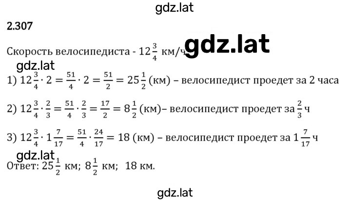 Решение задания № 2.307 — страница 1
