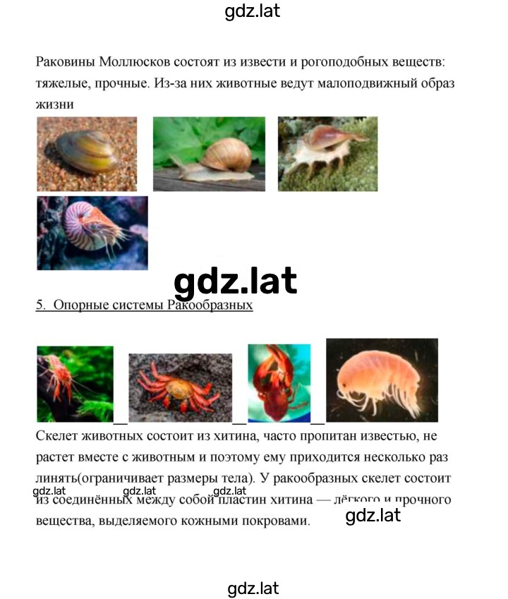 Решение задания № 5 — страница 4