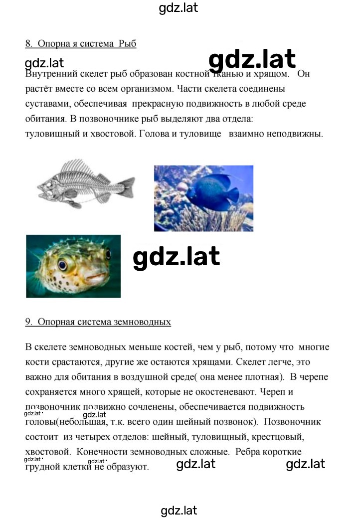 Решение задания № 5 — страница 6