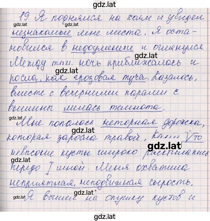 Решение задания № 19 — страница 1