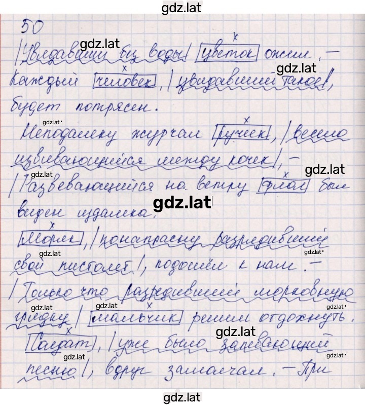Решение задания № 50 — страница 1