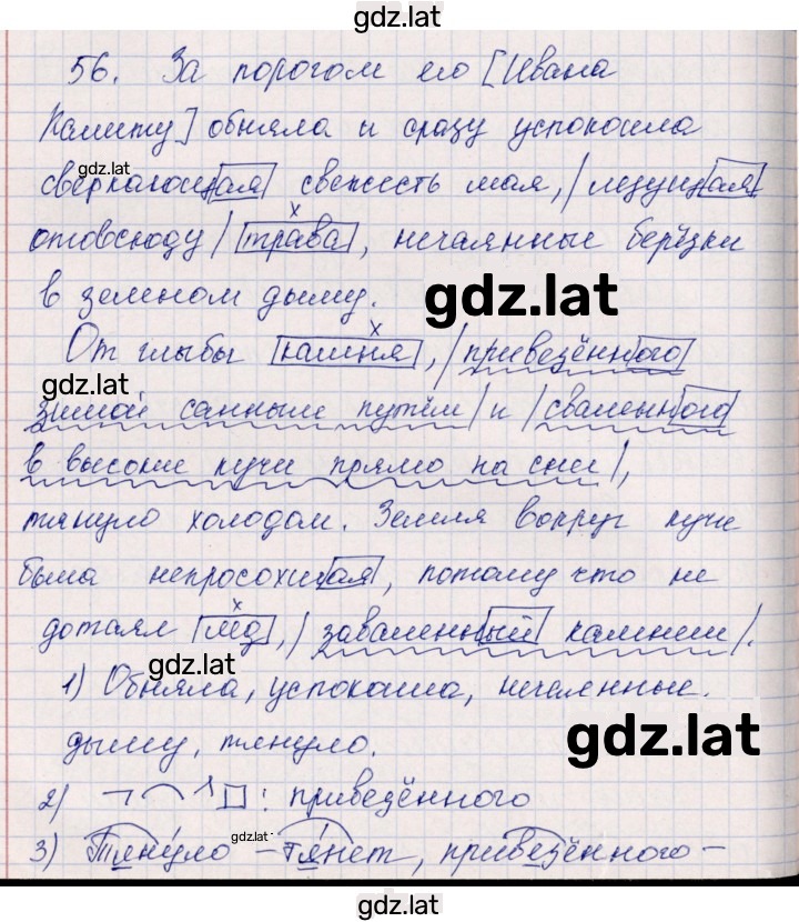 Решение задания № 56 — страница 1