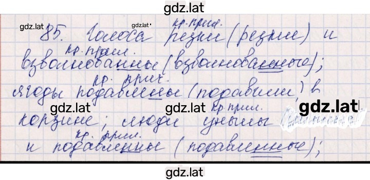 Решение задания № 85 — страница 1