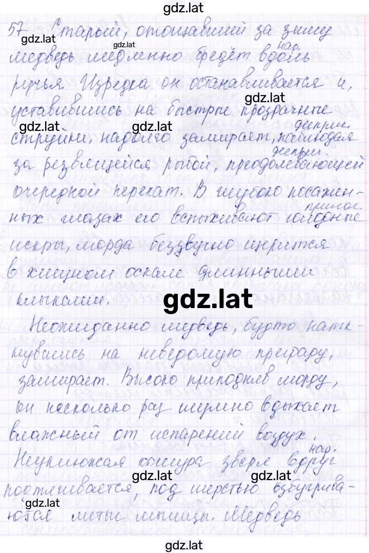 Решение задания № 57 — страница 1