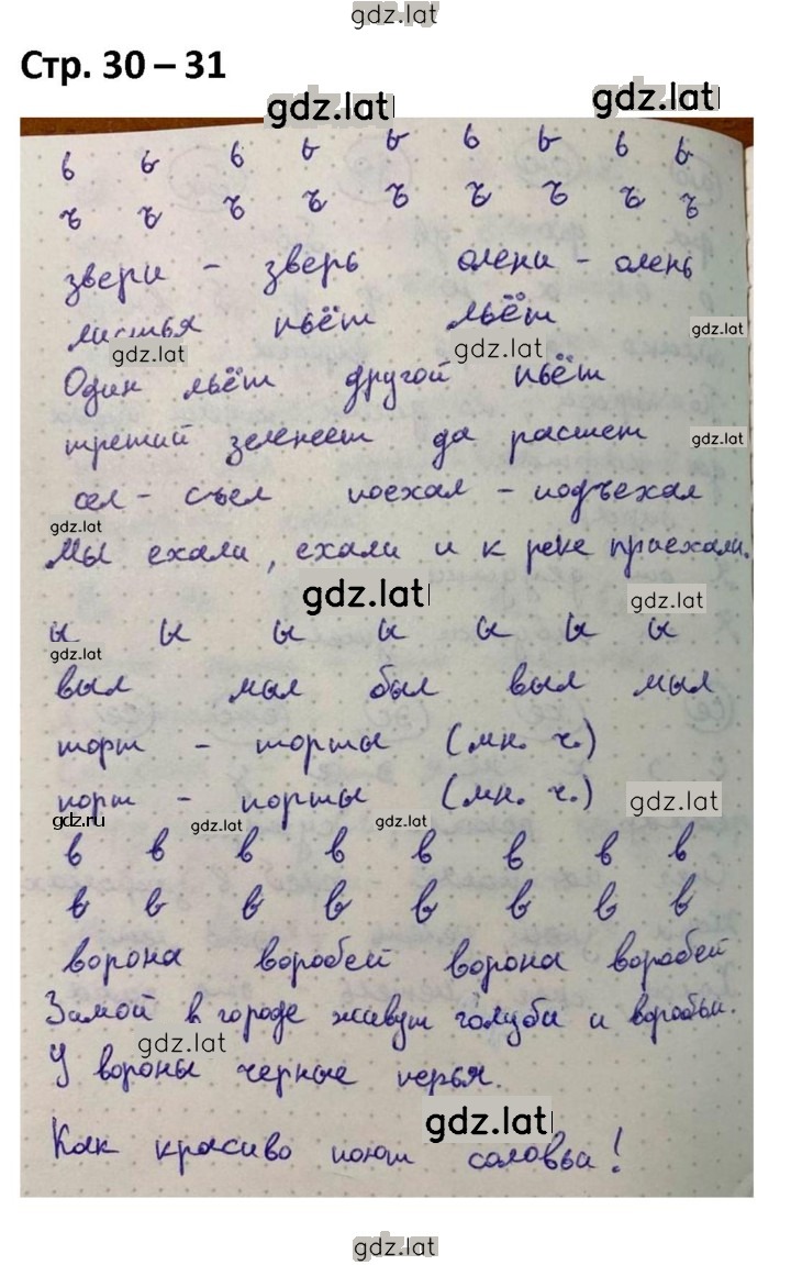 Решение задания № 30-31 — страница 1